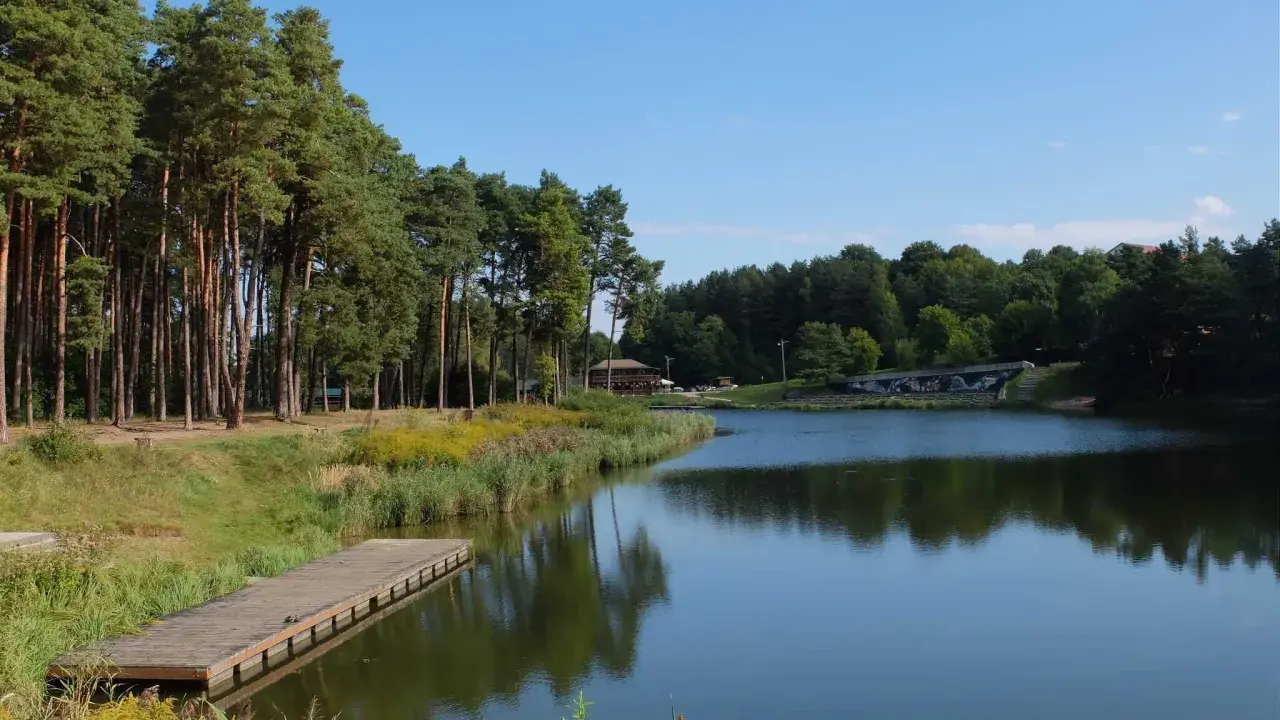 Drewniany pomost nad jeziorem, otoczony lasem sosnowym i trawami. Widok na **złoty potok Częstochowa** w słoneczny dzień.