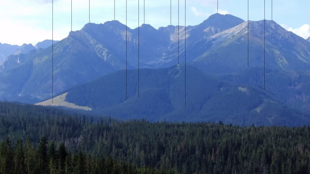 Gęsia szyja skąd wyruszyć? Widok na Tatry Wysokie z lasem w pierwszym planie. Na szczytach widoczne nazwy: Gęsia Szyja, Wielka Koszysta, Suchy Wierch.