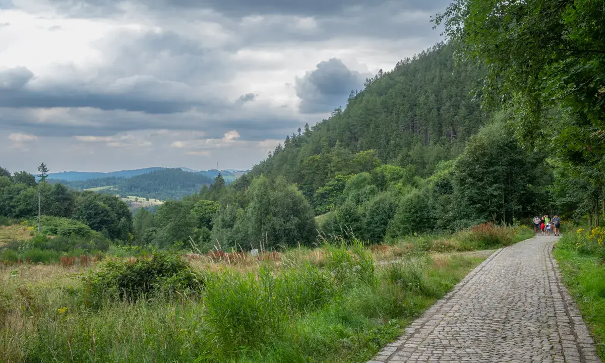 Kamienista ścieżka prowadzi pod górę borową, otoczoną zielenią. W oddali widać pagórkowaty krajobraz.