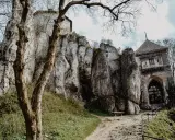 Kamienny zamek na skale, ukryty wśród drzew. Odkryj nieznane miejsca w Małopolsce, gdzie historia splata się z naturą.