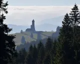 Widok na dalimilova rozhledna na wzgórzu, otoczona lasem i mgłą.