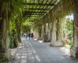 Pergola porośnięta bluszczem, idealne miejsce na spacer. Warto zobaczyć, co zwiedzić we Wrocławiu, np. ten urokliwy zakątek.