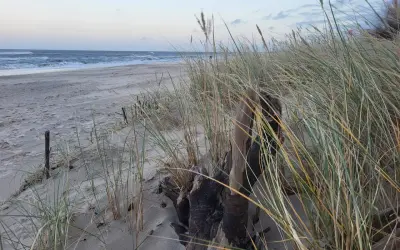 Piasek, trawy morskie i dryfujące drewno na plaży. Władysławowo atrakcje zimą to spacery po pustej plaży i podziwianie morza.