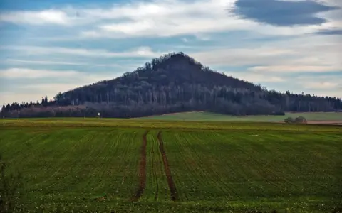 Krajobraz z zielonym polem i zalesionym wzgórzem, przypominającym dawne wulkany w Polsce.
