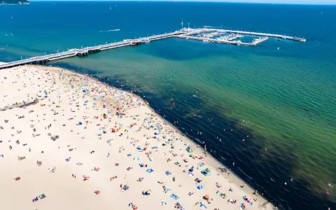 Tłum ludzi wypoczywa na piaszczystej plaży w Sopocie. W oddali widać molo i przystań jachtową.