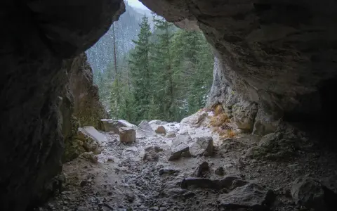 Widok z wnętrza jaskini mylnej na ośnieżony las świerkowy. Kamieniste dno i skalne ściany tworzą mroczny korytarz.