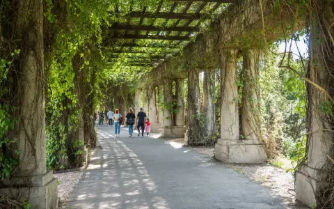 Pergola porośnięta bluszczem, idealne miejsce na spacer. Warto zobaczyć, co zwiedzić we Wrocławiu, np. ten urokliwy zakątek.