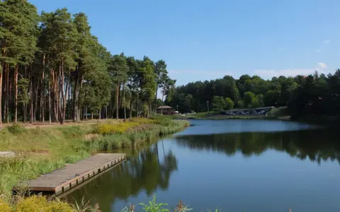 Drewniany pomost nad jeziorem, otoczony lasem sosnowym i trawami. Widok na **złoty potok Częstochowa** w słoneczny dzień.