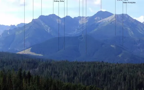 Gęsia szyja skąd wyruszyć? Widok na Tatry Wysokie z lasem w pierwszym planie. Na szczytach widoczne nazwy: Gęsia Szyja, Wielka Koszysta, Suchy Wierch.