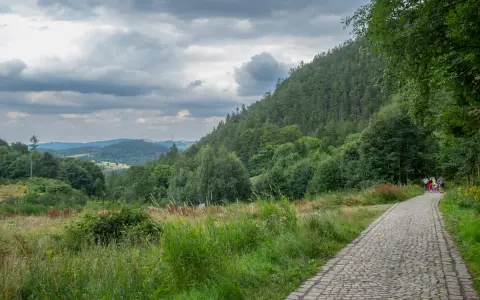 Kamienista ścieżka prowadzi pod górę borową, otoczoną zielenią. W oddali widać pagórkowaty krajobraz.