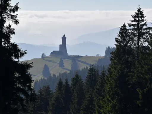 Widok na dalimilova rozhledna na wzgórzu, otoczona lasem i mgłą.