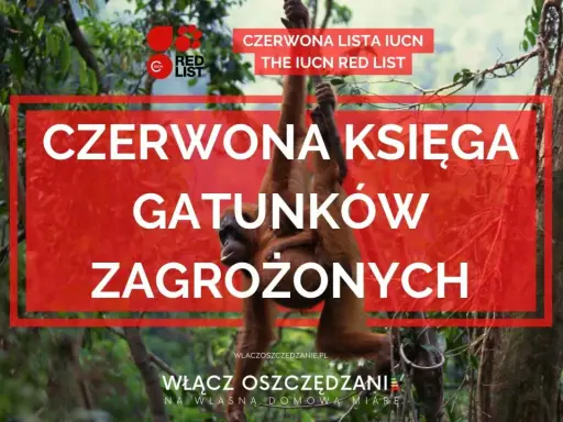 Orangutan z dzieckiem wisi na drzewie. Nad nimi napis "CZERWONA KSIĘGA GATUNKÓW ZAGROŻONYCH", informujący o liście IUCN.
