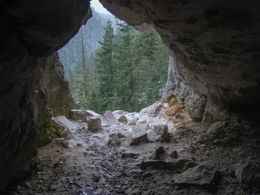 Widok z wnętrza jaskini mylnej na ośnieżony las świerkowy. Kamieniste dno i skalne ściany tworzą mroczny korytarz.