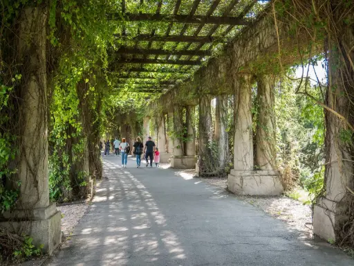 Pergola porośnięta bluszczem, idealne miejsce na spacer. Warto zobaczyć, co zwiedzić we Wrocławiu, np. ten urokliwy zakątek.