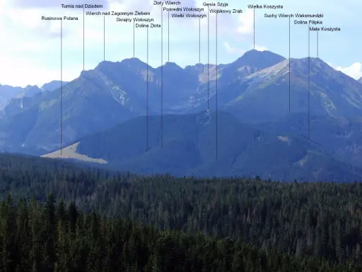 Gęsia szyja skąd wyruszyć? Widok na Tatry Wysokie z lasem w pierwszym planie. Na szczytach widoczne nazwy: Gęsia Szyja, Wielka Koszysta, Suchy Wierch.