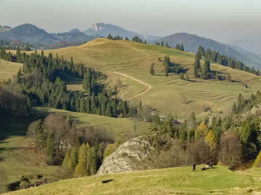 Malownicze, pofałdowane wzgórza Wysokich Pienin, porośnięte trawami i lasami. Kręta ścieżka prowadzi przez zielone zbocza.