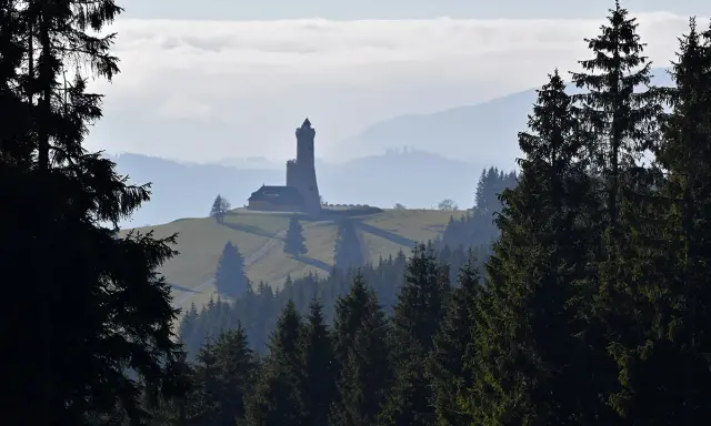 Widok na dalimilova rozhledna na wzgórzu, otoczona lasem i mgłą.