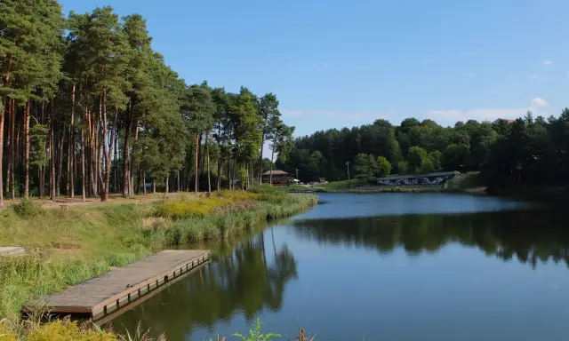 Drewniany pomost nad jeziorem, otoczony lasem sosnowym i trawami. Widok na **złoty potok Częstochowa** w słoneczny dzień.