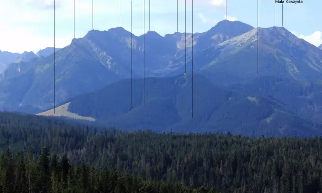 Gęsia szyja skąd wyruszyć? Widok na Tatry Wysokie z lasem w pierwszym planie. Na szczytach widoczne nazwy: Gęsia Szyja, Wielka Koszysta, Suchy Wierch.