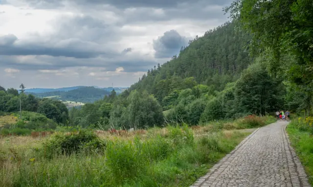 Kamienista ścieżka prowadzi pod górę borową, otoczoną zielenią. W oddali widać pagórkowaty krajobraz.
