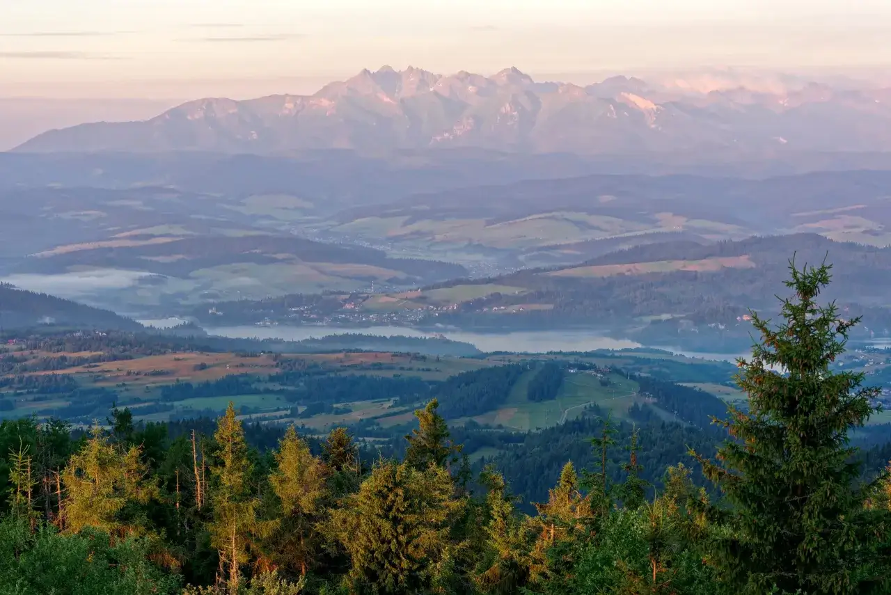 Widok na Tatry o wschodzie słońca, mgły unoszące się nad doliną, a na pierwszym planie las. Gorc troszacki w oddali.