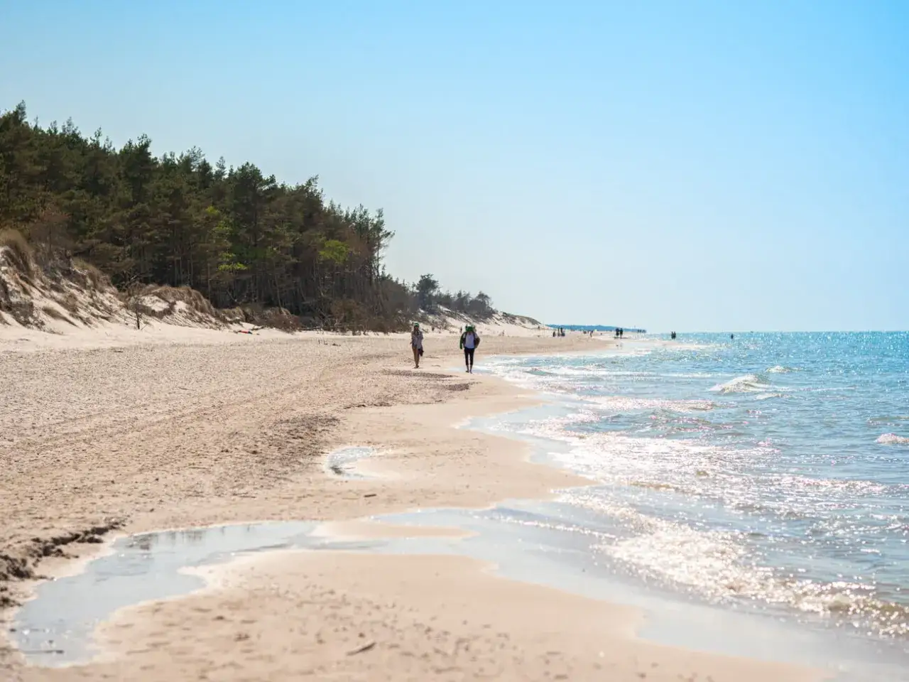 Spacerem po piaszczystej plaży, przy lesie sosnowym, w poszukiwaniu najładniejszej plaży w Polsce. Błękitne niebo i spokojne morze.