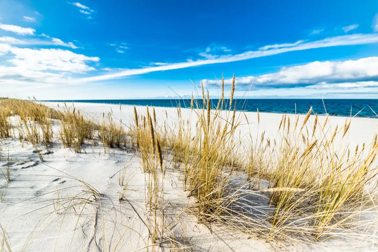 Piękne plaże nad morzem, z piaszczystymi wydmami porośniętymi trawami i błękitnym niebem.
